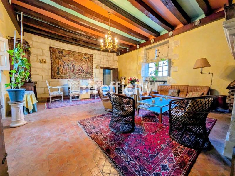 Château - 321 m² - 9 pièces