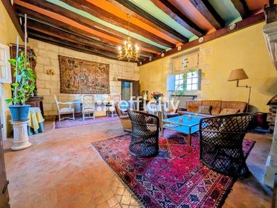 Château - 321 m² - 9 pièces