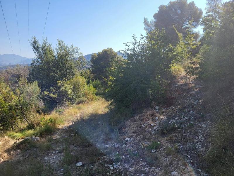 Terrain - 16 415 m²