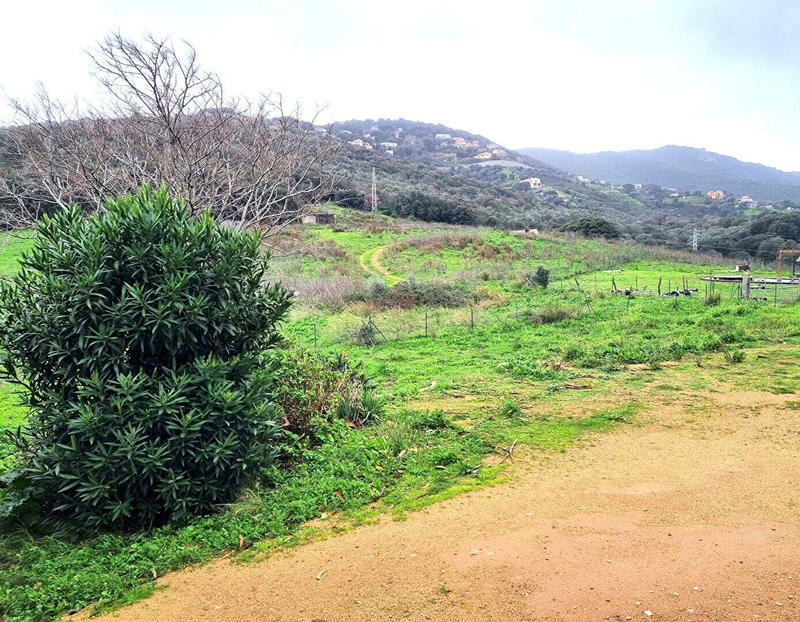 Maison - 161 m² - 4 pièces