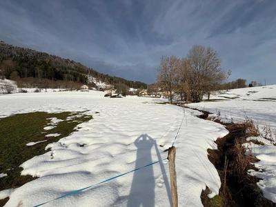 Terrain agricole - 3 678 m²