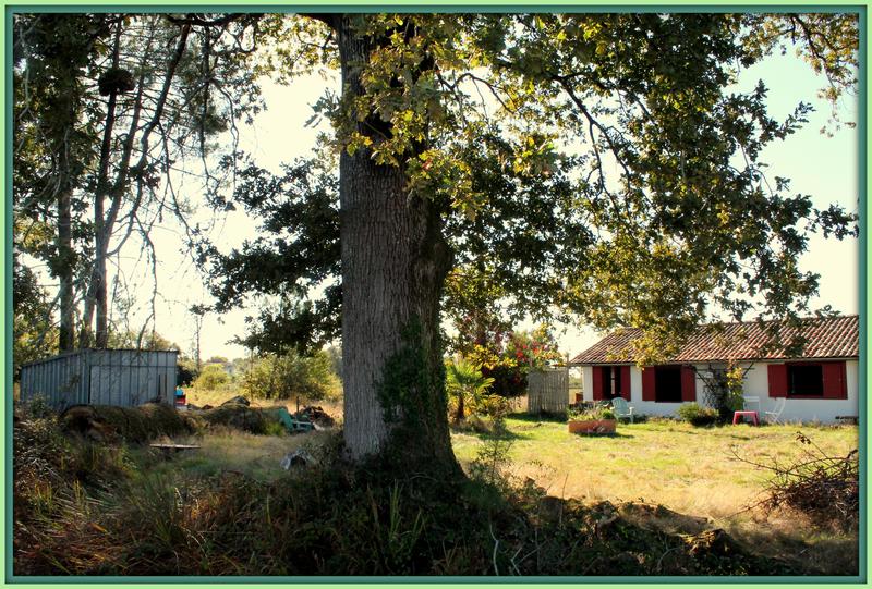 Maison - 72 m² - 3 pièces