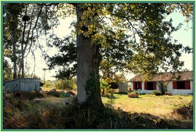 Maison - 72 m² - 3 pièces