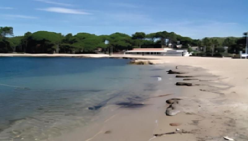 Studio - 35 m² - 1 pièce