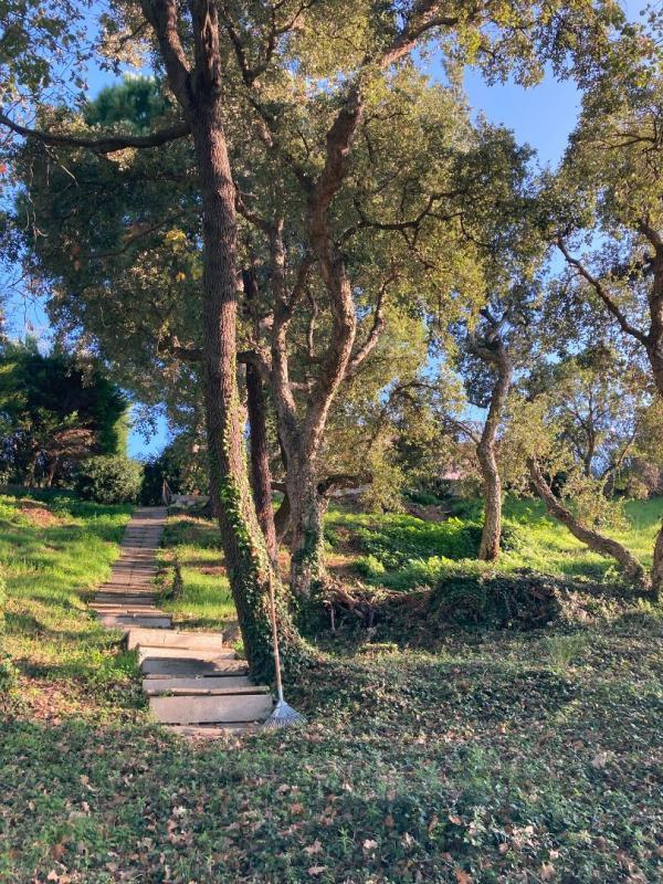 Villa - 231 m² - 5 pièces