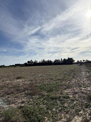 Terrain agricole - 15 000 m²