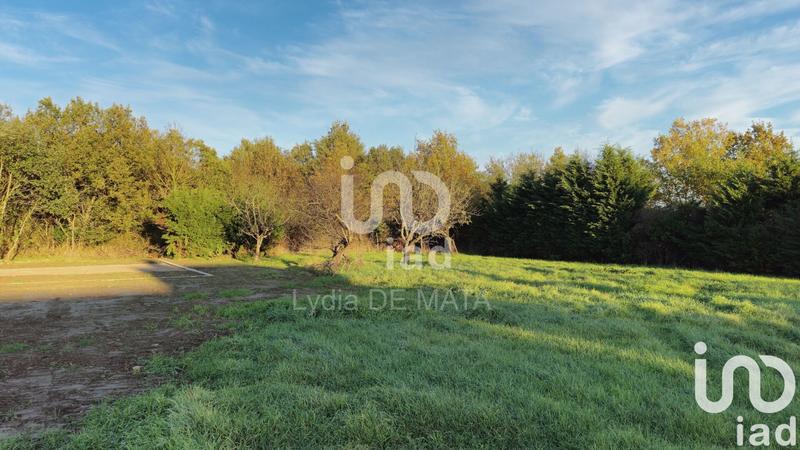 Terrain - 1 206 m²
