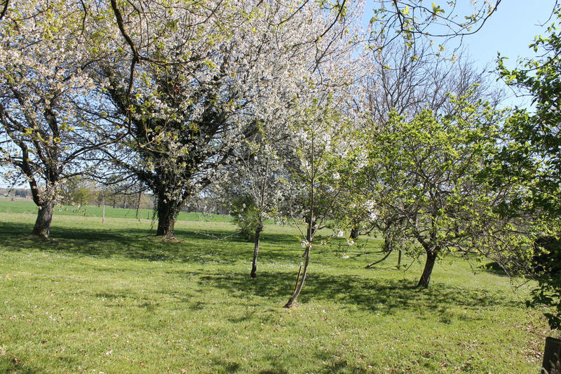Maison de campagne - 139 m² - 8 pièces