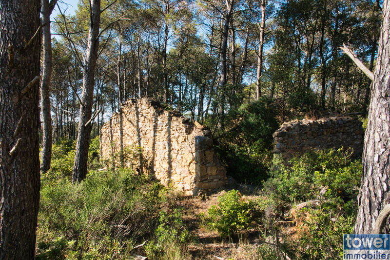 Terrain de loisirs - 42 302 m²