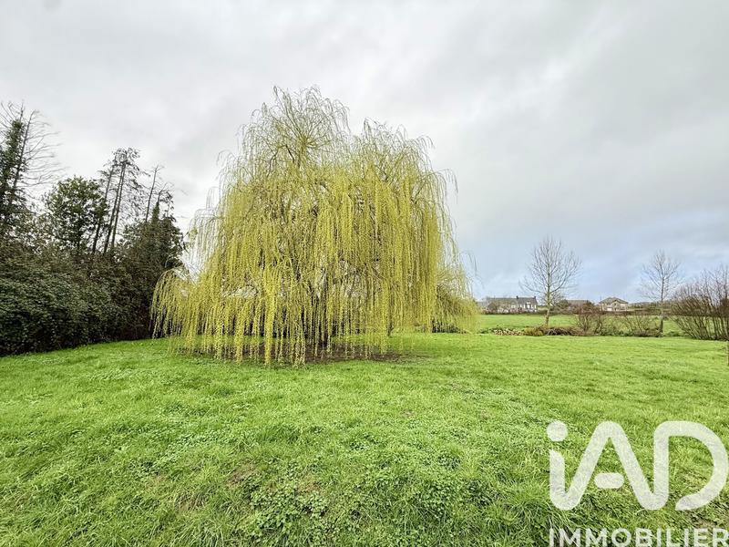 Maison de campagne - 100 m² - 5 pièces
