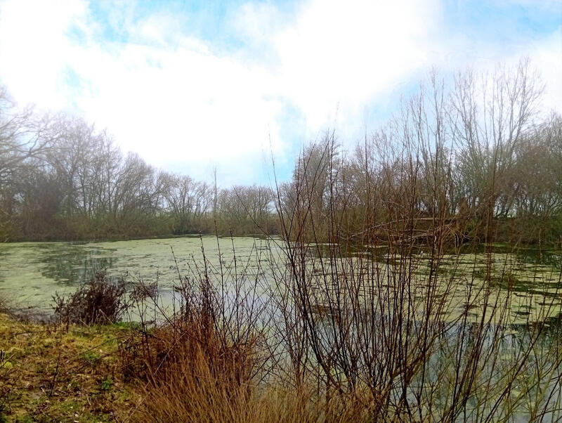 Terrain de loisirs - 3 217 m²