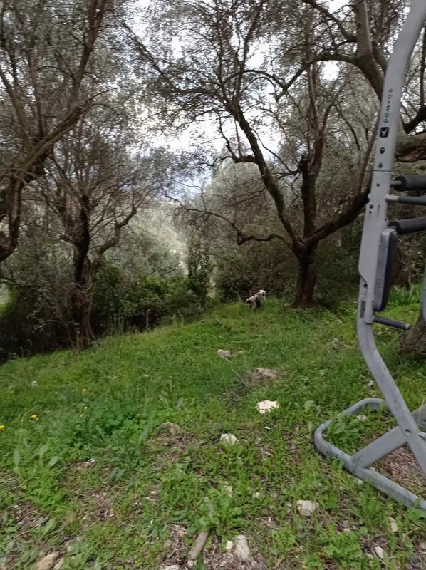 Terrain constructible - 1 500 m²