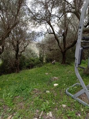 Terrain constructible - 1 500 m²