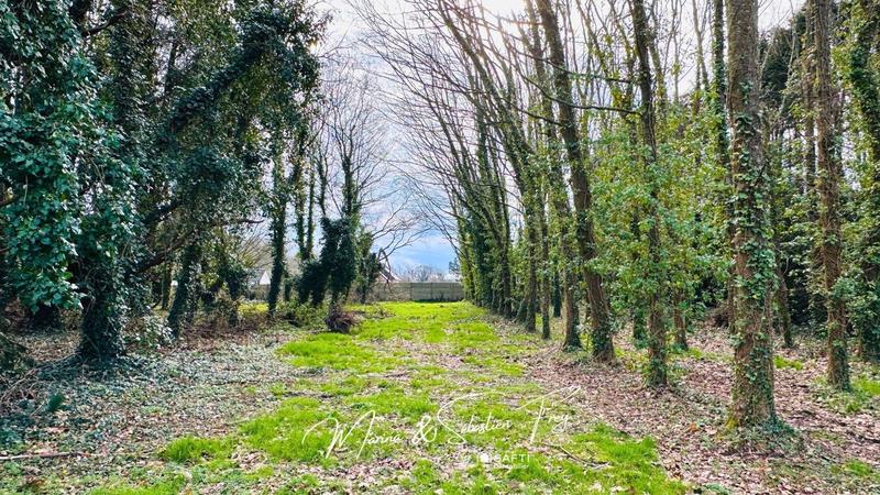 Maison de maîtres - 300 m² - 11 pièces