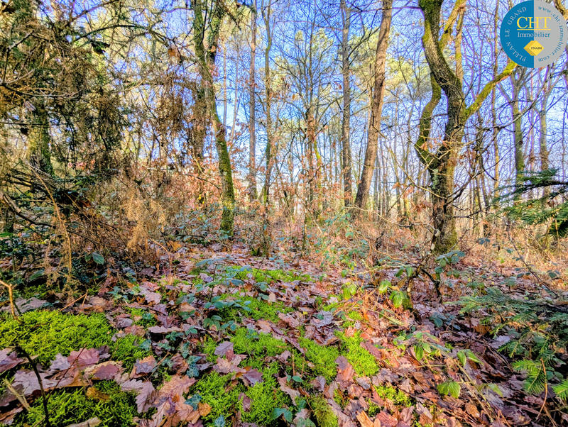 Terrain - 20 680 m²