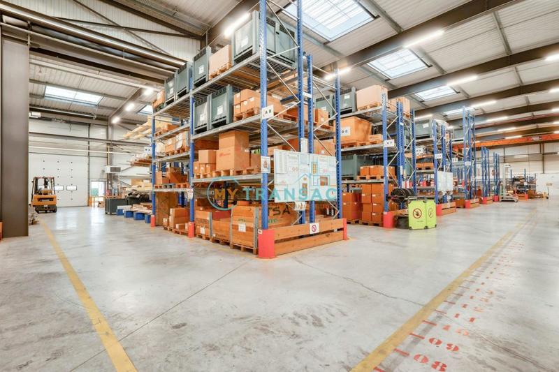 Local d'activité / Entrepôt - 3 300 m²