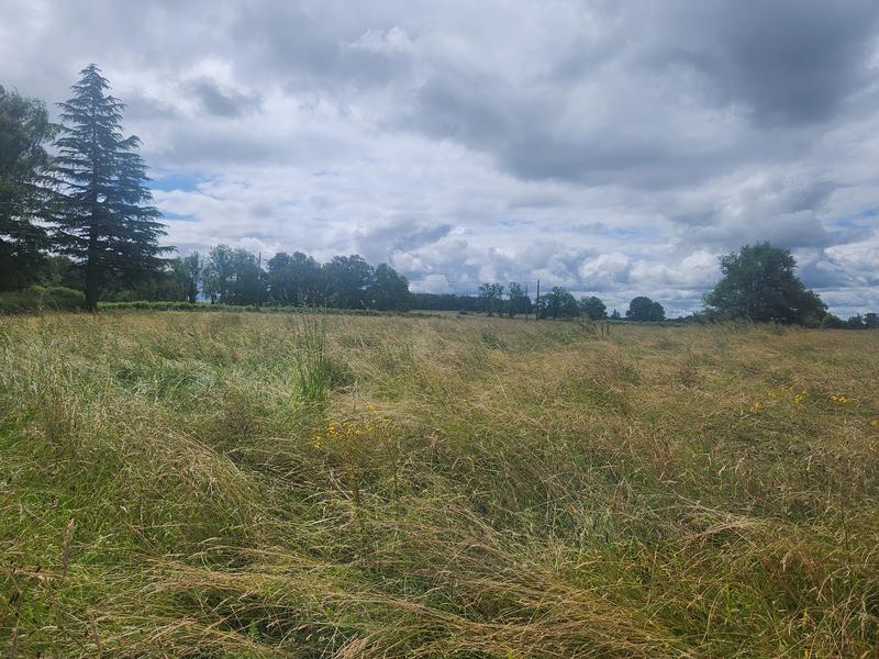 Maison - 81 m² - 4 pièces