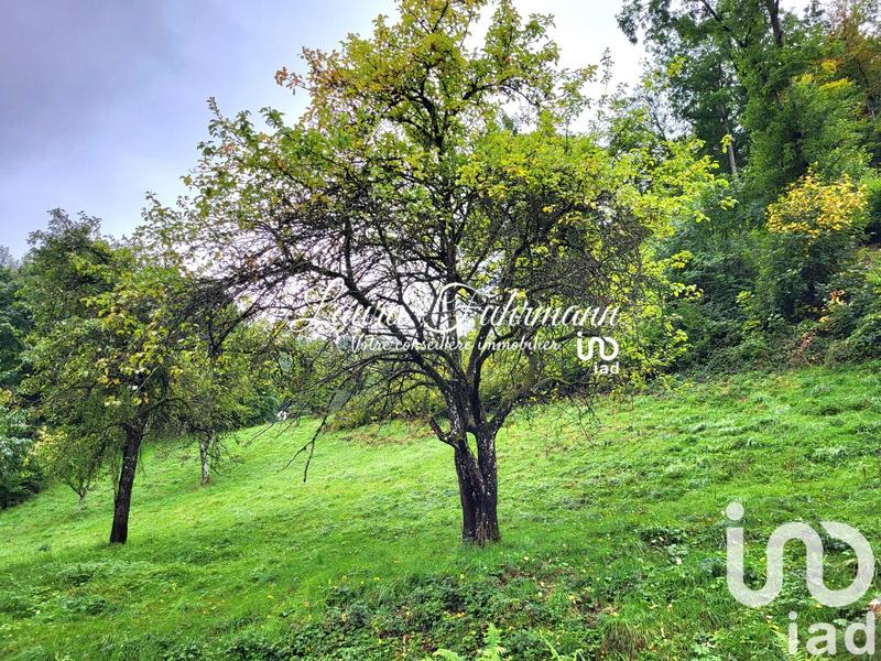 Maison - 149 m² - 5 pièces