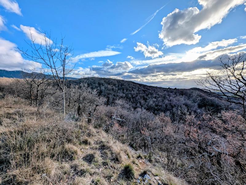 Terrain agricole - 46 750 m²