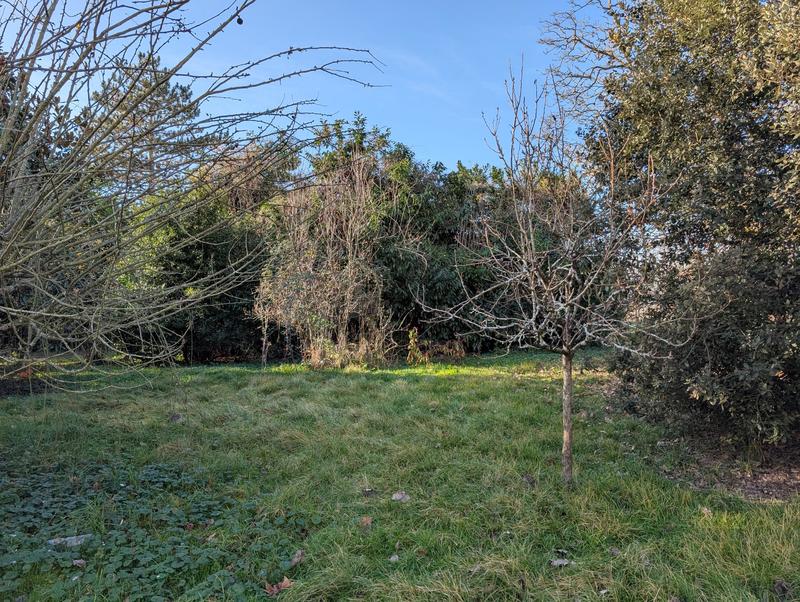 Maison en pierre - 268 m² - 7 pièces