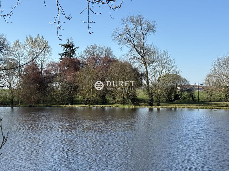 Terrain de loisirs - 9 863 m²