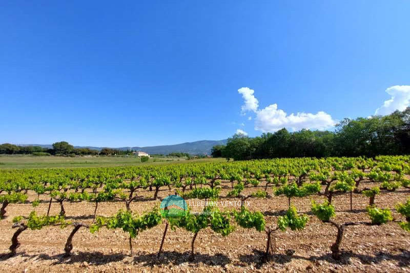 Propriété - 457 m² - 16 pièces