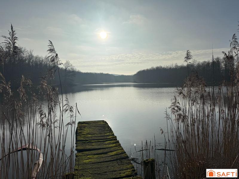 Terrain - 80 530 m²