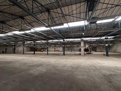 Local commercial - 5 000 m²
