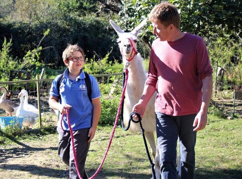 La Maison des Chameaux