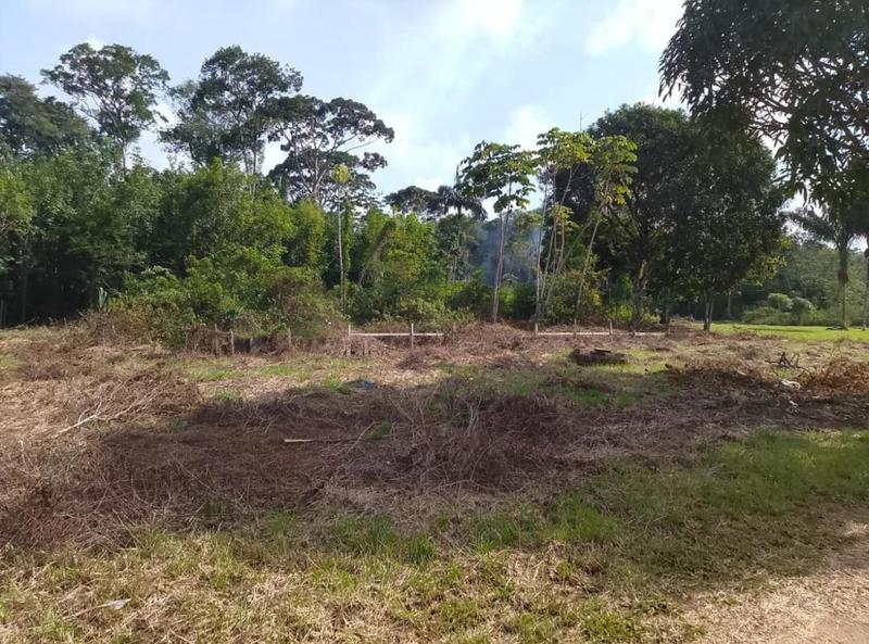 Terrain constructible - 15 962 m²