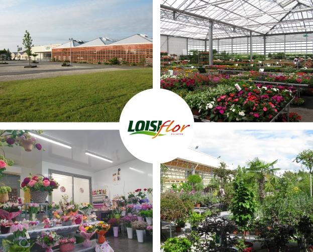 Loisiflor jardinerie