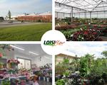 Loisiflor jardinerie