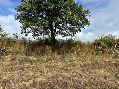Terrain constructible - 1 306 m²