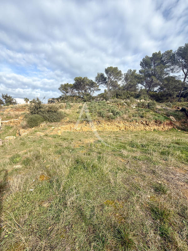 Terrain - 548 m²