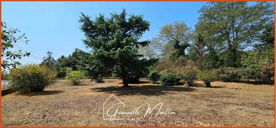 Maison - 146 m² - 7 pièces