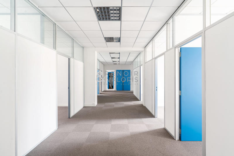 Bureau - 235 m² - 10 pièces