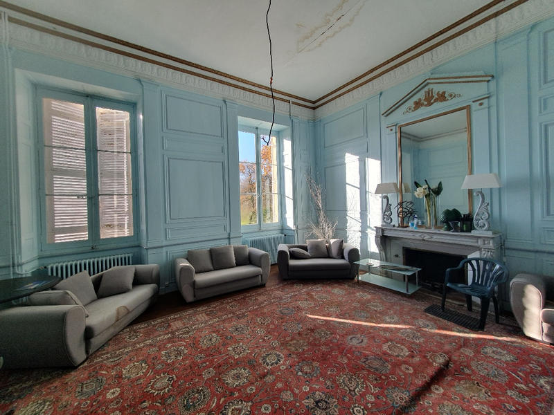 Château - 800 m² - 17 pièces