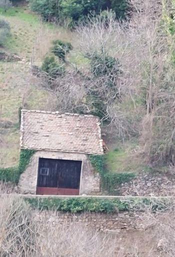 Terrain - 44 972 m²