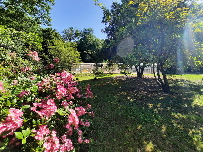 Maison - 313 m² - 7 pièces