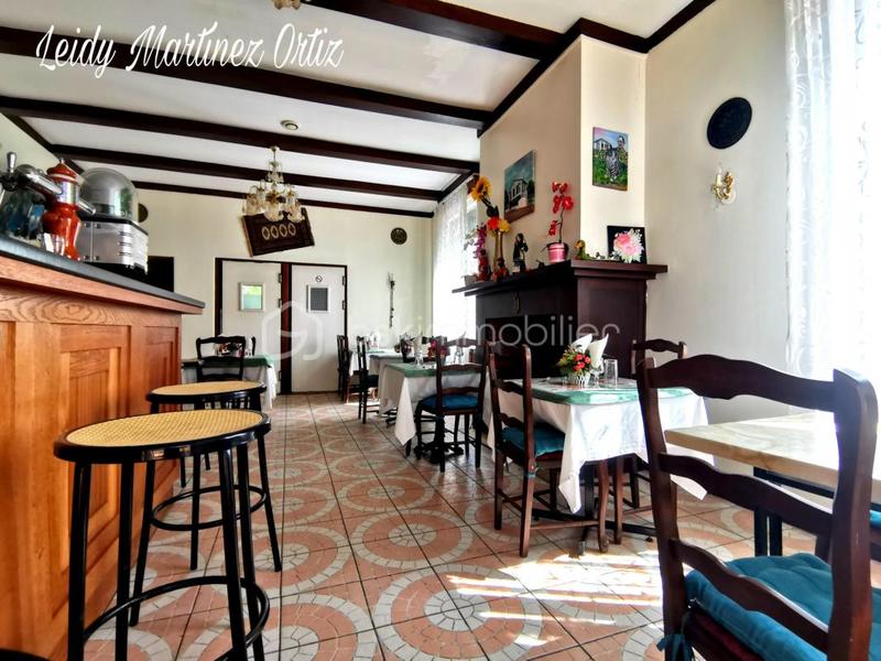 Immeuble - 600 m² - 19 pièces