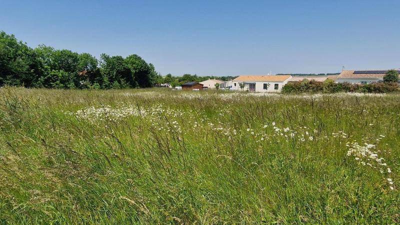 Terrain constructible - 1 028 m²