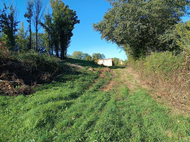 Terrain agricole - 9 582 m²