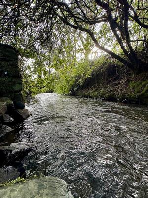 Moulin - 130 m² - 3 pièces