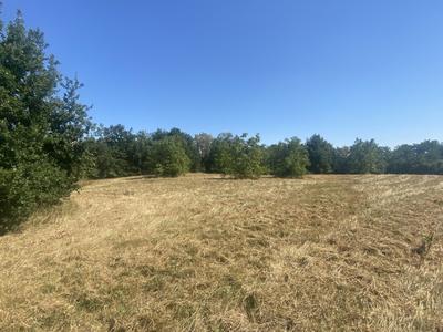 Terrain - 11 543 m²