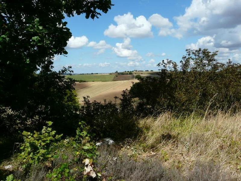 Maison - 30 m² - 2 pièces