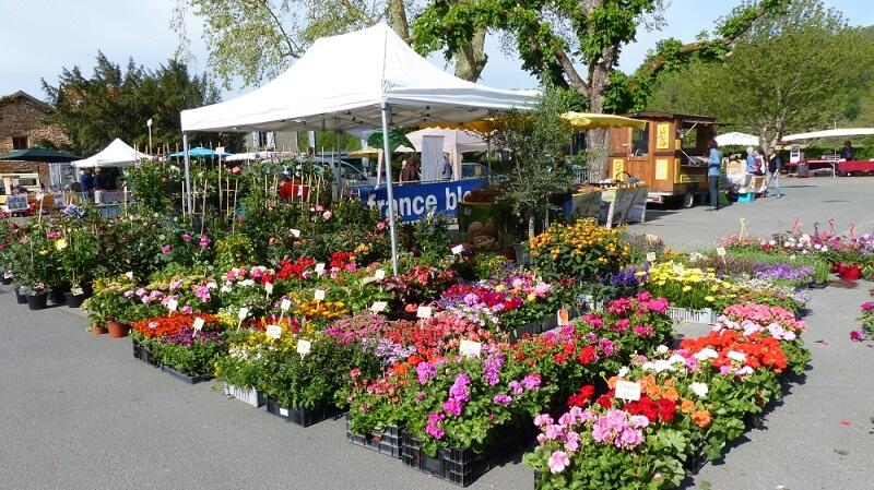Fête des Fleurs et des plantes - 10ème édition
