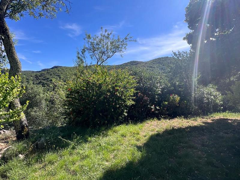 Maison en pierre - 90 m² - 4 pièces