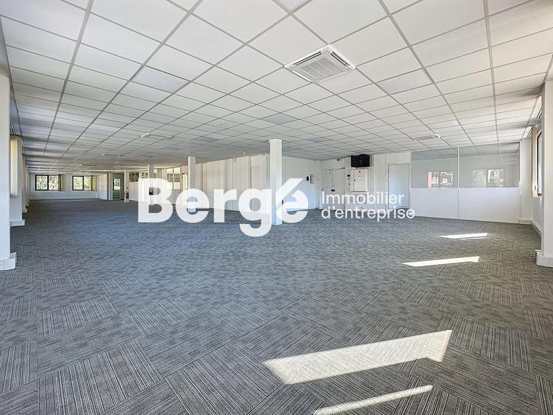 Bureau - 446 m²