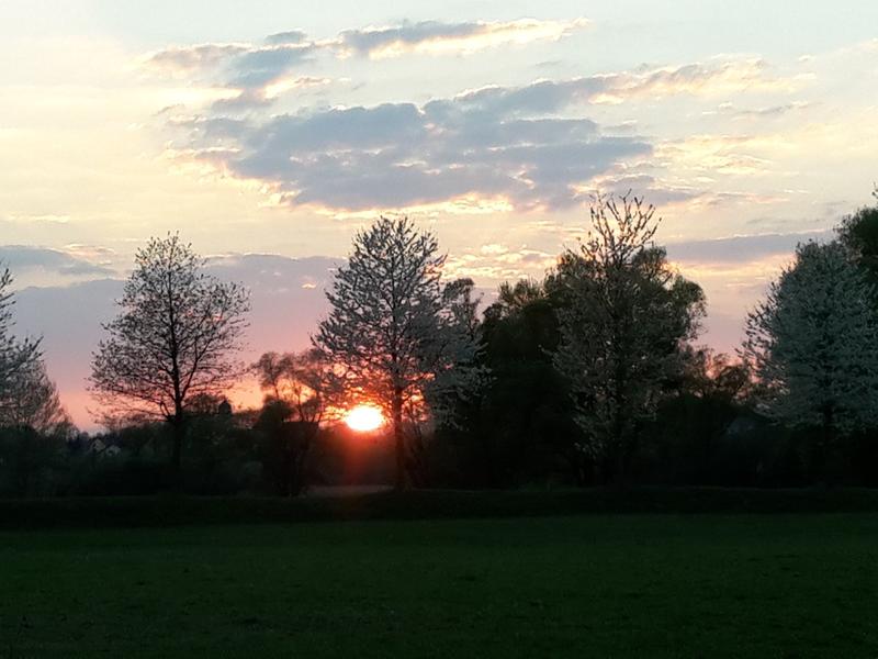 Visite guidée semi-nocturne