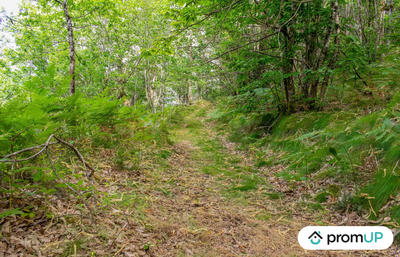 Terrain de loisirs - 5 300 m²